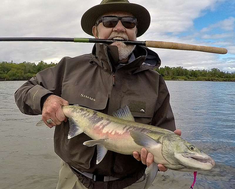 Fly Fishing for Salmon - Alagnak River in Alaska