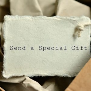 Send a Special Gift