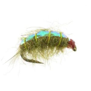 Bighorn Scud Olive Fly