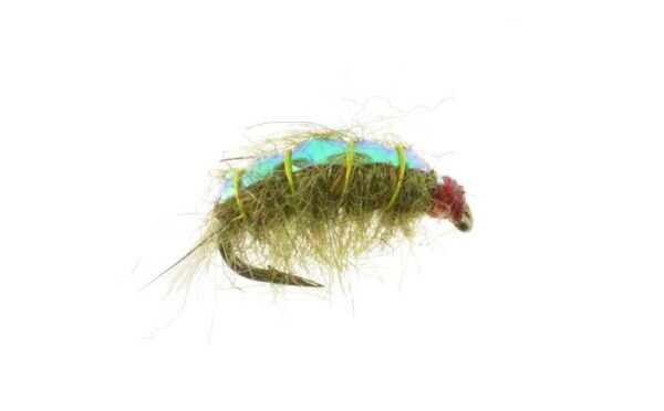 Bighorn Scud Olive Fly
