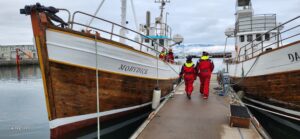 Moby Dick Whale Tours in Iceland